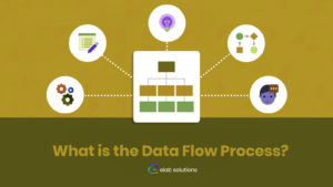 What is the Data Flow Process